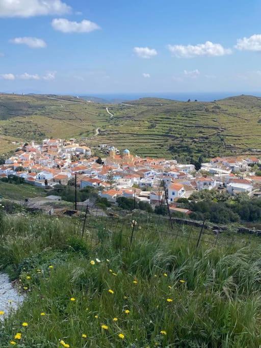 DhriopísΚυθνος Δρυοπίδα, Στούντιο Χατζής别墅 外观 照片