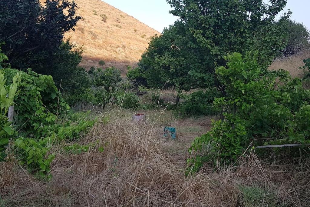 DhriopísΚυθνος Δρυοπίδα, Στούντιο Χατζής别墅 外观 照片
